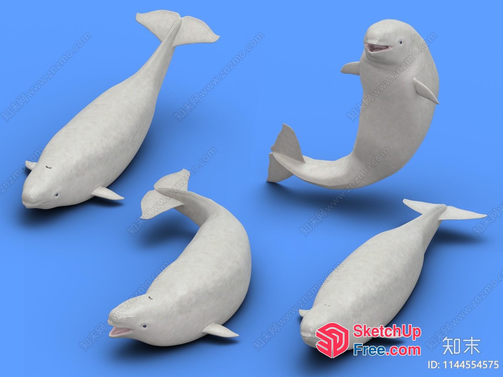 Four Beluga Whales On A Blue Background 3D SketchUp File