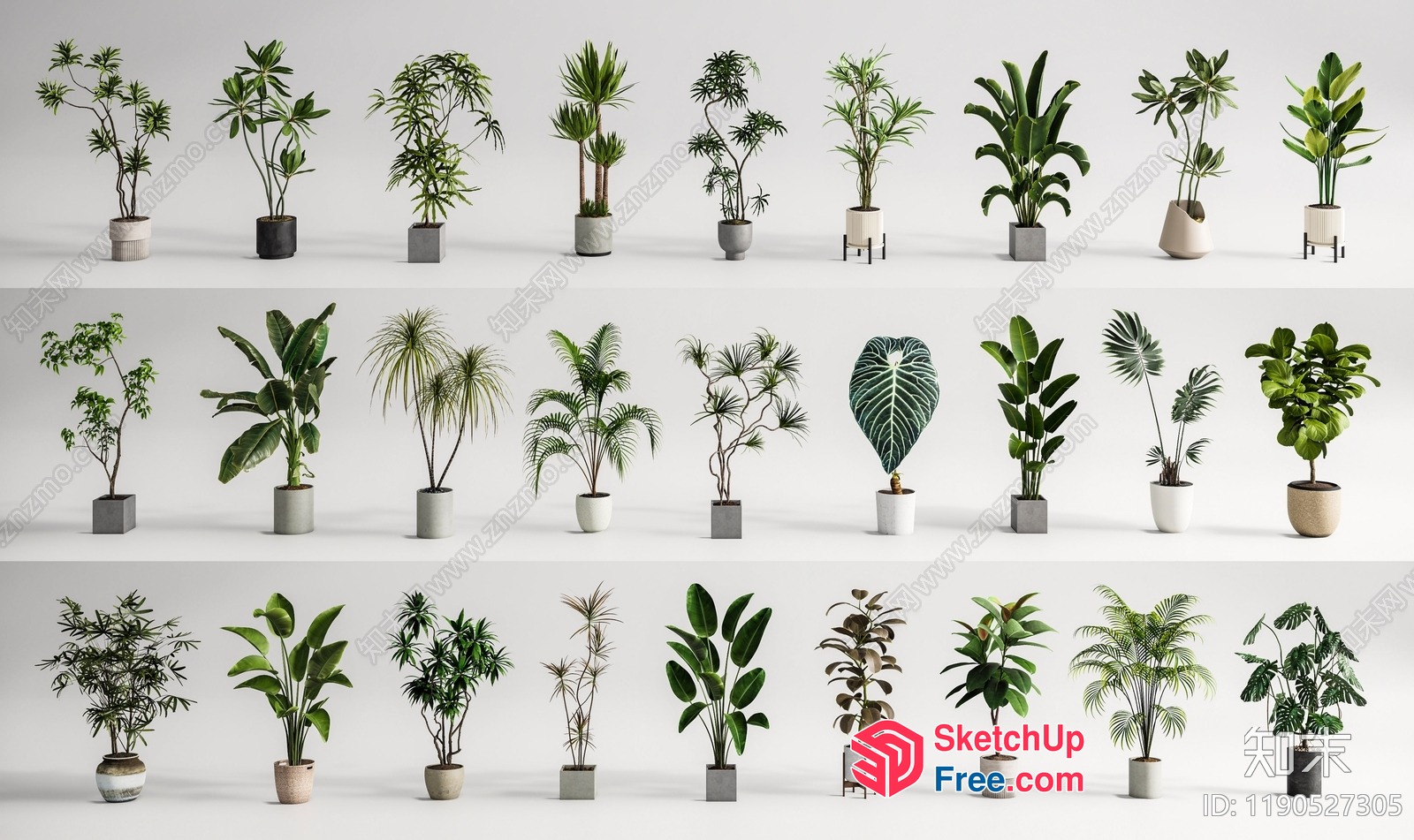 Potted Plants In Various Styles 3D SketchUp File