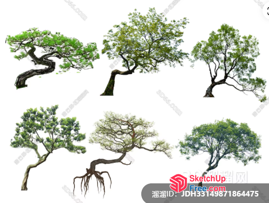 Tree Collection With Various Branches And Leaves 3D SketchUp File