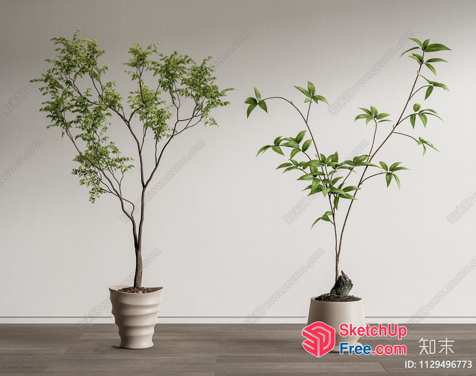Two Potted Plants In A Room 3D SketchUp File