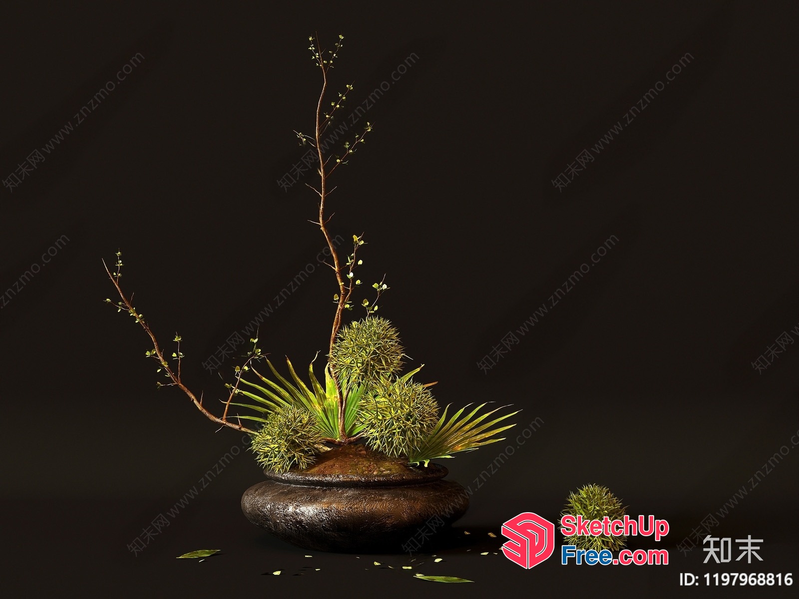 Wabi-Sabi Style Plant Arrangement 3D SketchUp File
