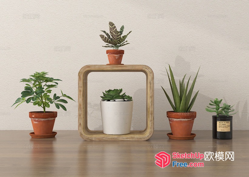 Aesthetic Potted Plants On A Shelf 3D SketchUp File