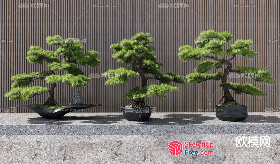 Japanese-Style Potted Trees On A Concrete Platform 3D SketchUp File