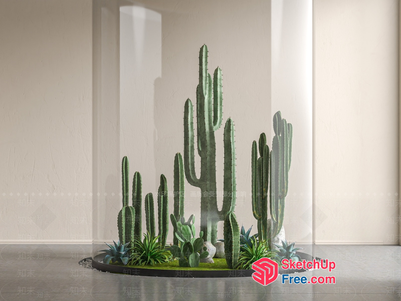 Cactus And Succulent Garden In Modern Minimalist Interior 3D SketchUp File
