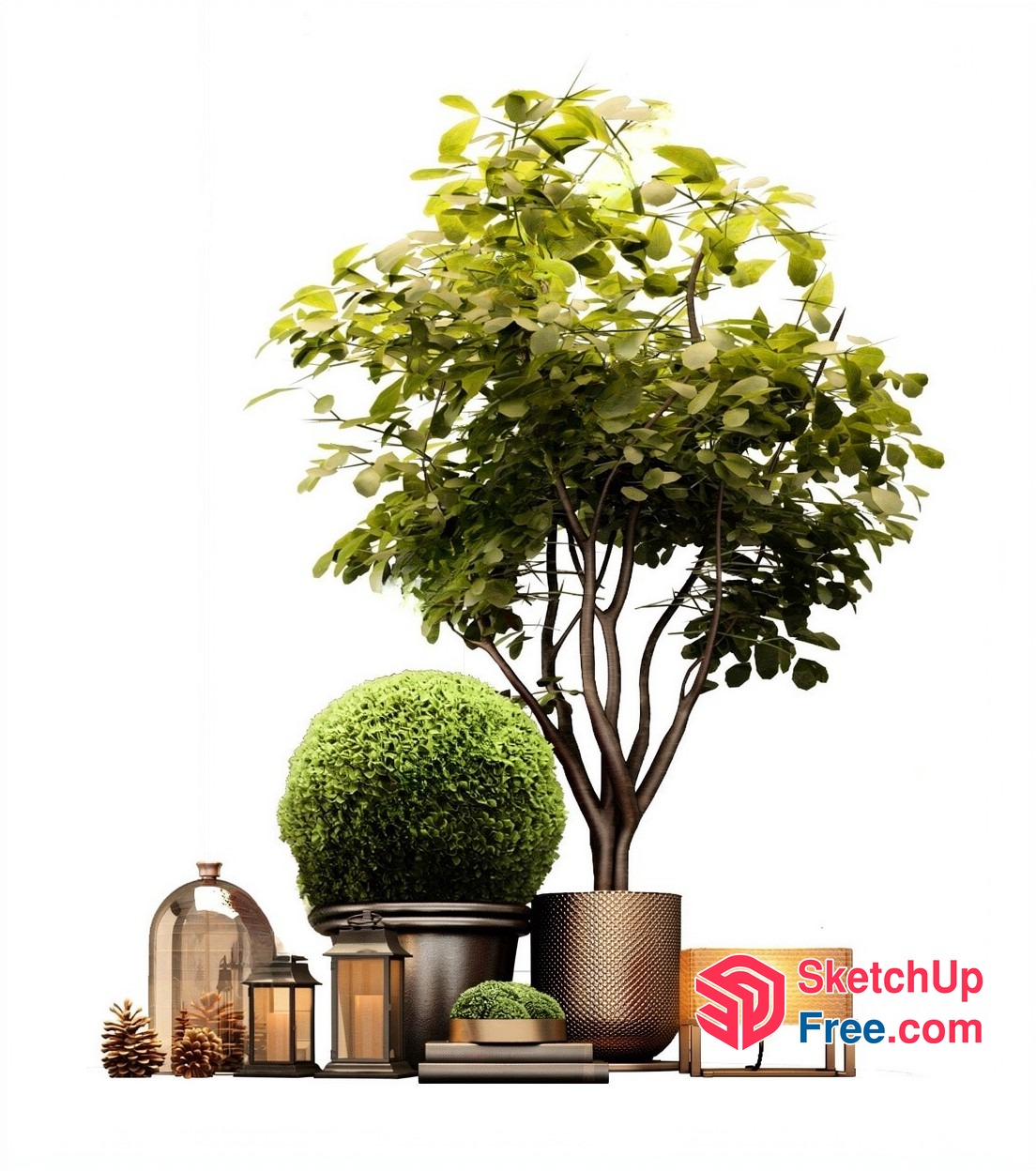 Decorative Greenery And Accessories 3D SketchUp File