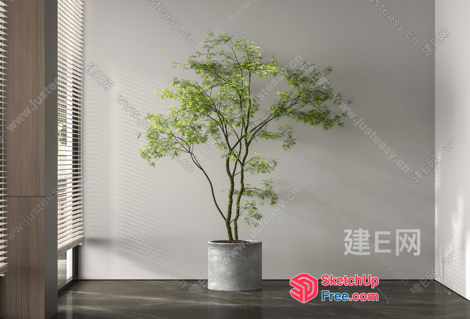 Potted Tree In A Modern Interior Space 3D SketchUp File