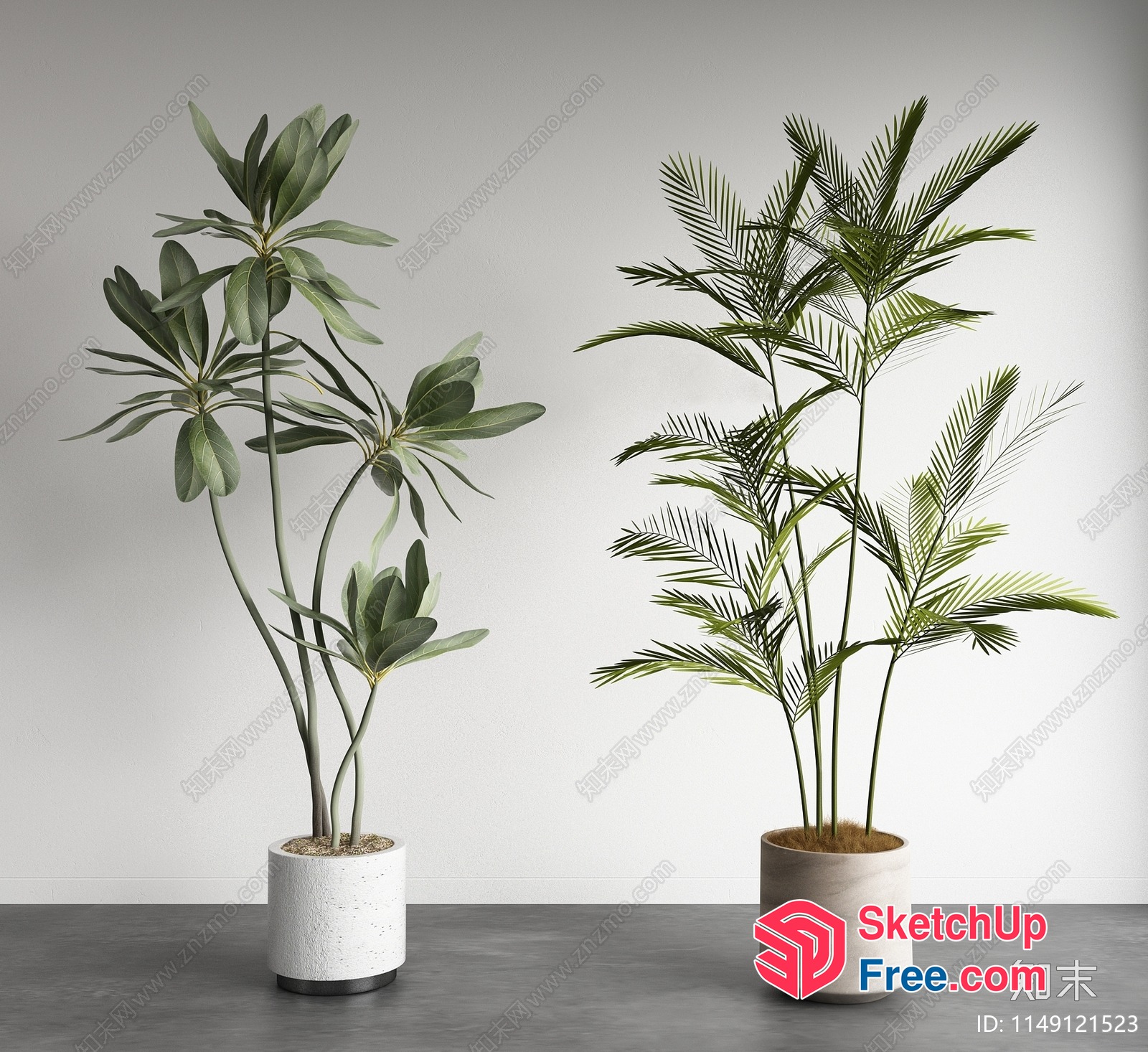 Two Potted Plants In Modern Home Interior 3D SketchUp File