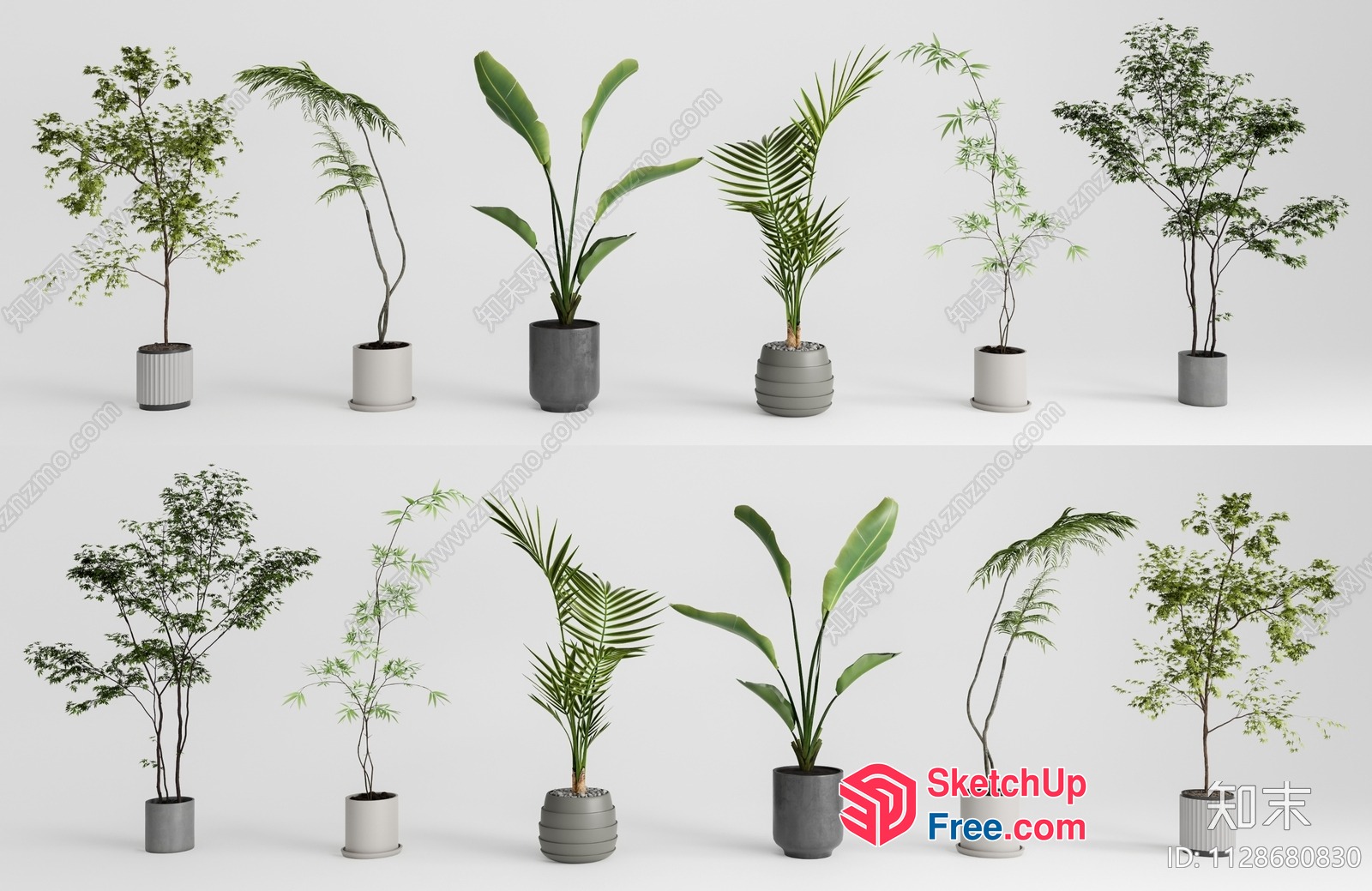 Potted Plants In Various Styles 3D SketchUp File