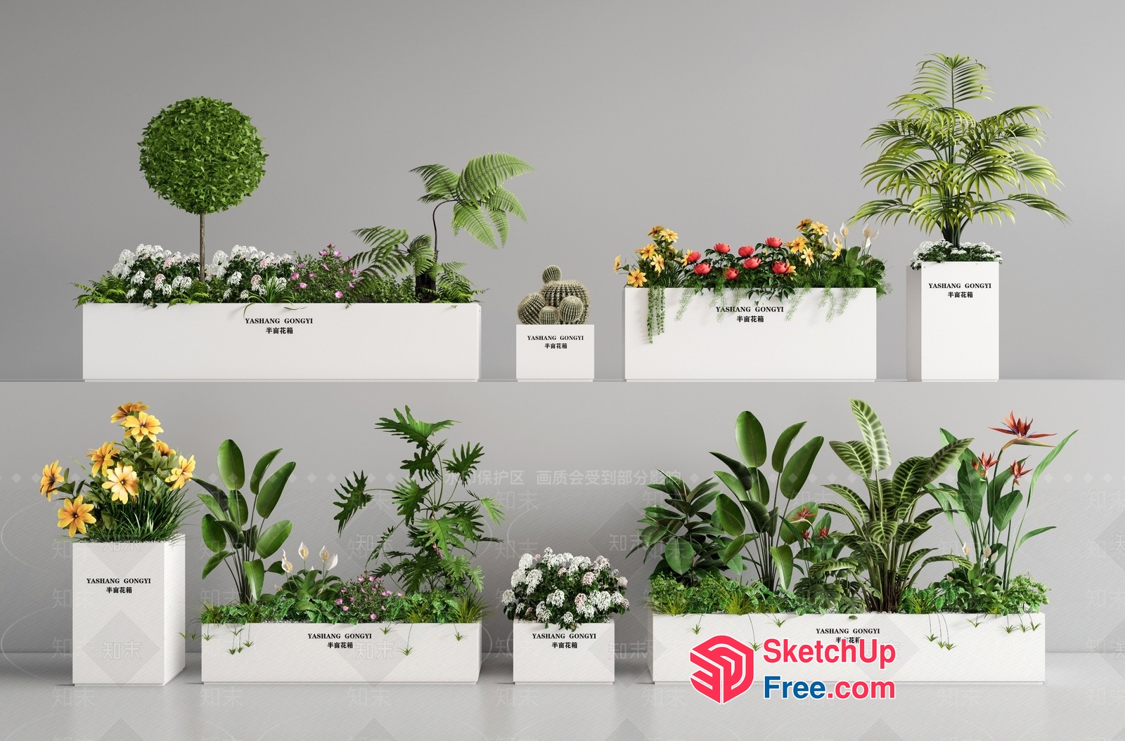 Potted Plants And Flowers In Rectangular Planters 3D SketchUp File