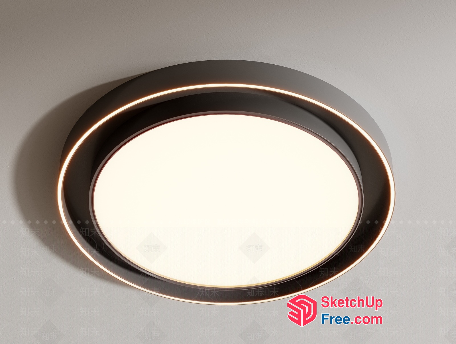 Oval Light Fixture With Circular Frame 3D SketchUp File