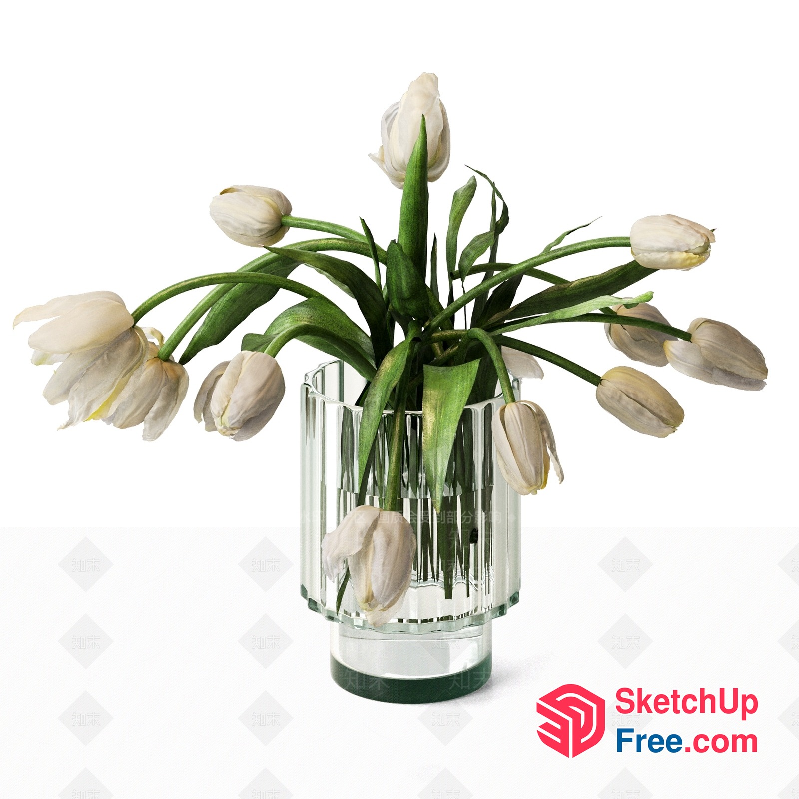 Elegant White Tulips In A Glass Vase 3D SketchUp File