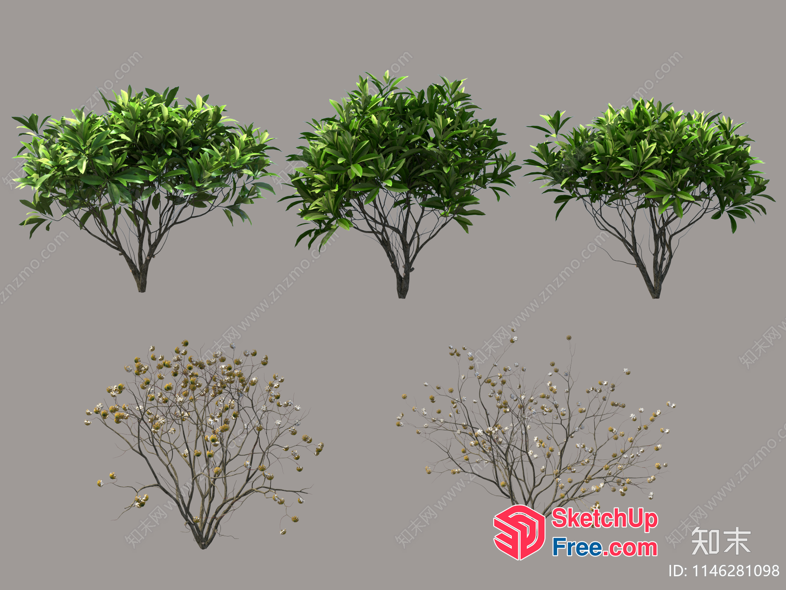 Tree And Plant Collection 3D SketchUp File