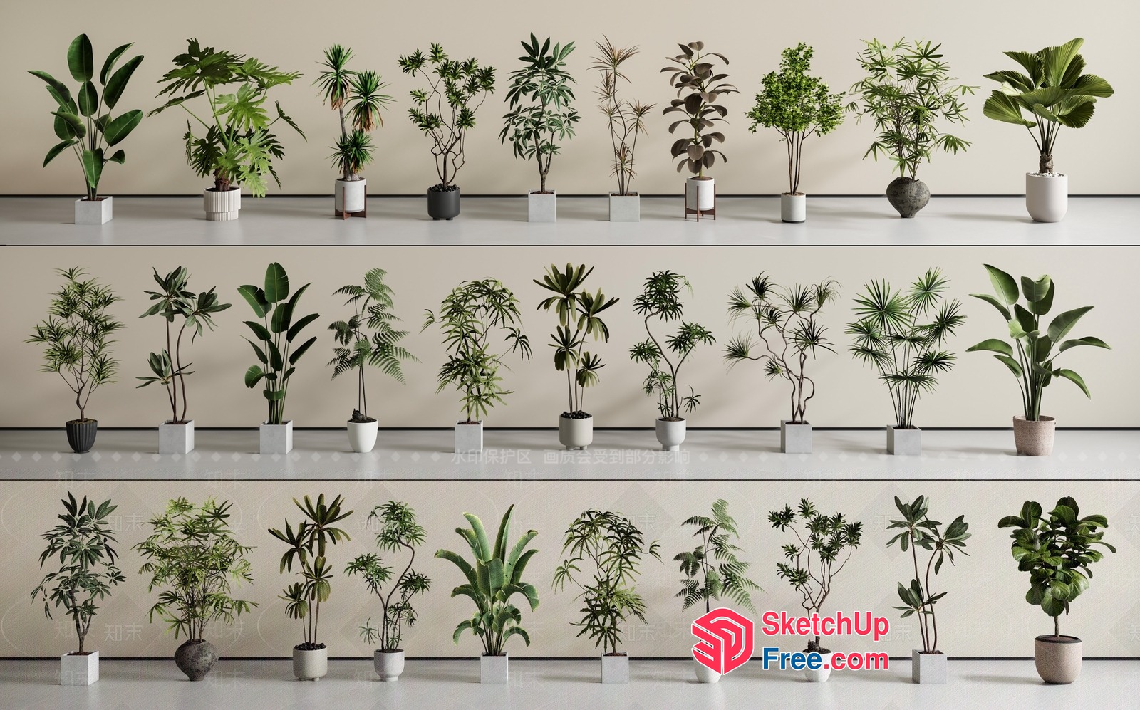 Potted Plants Collection 3D SketchUp File