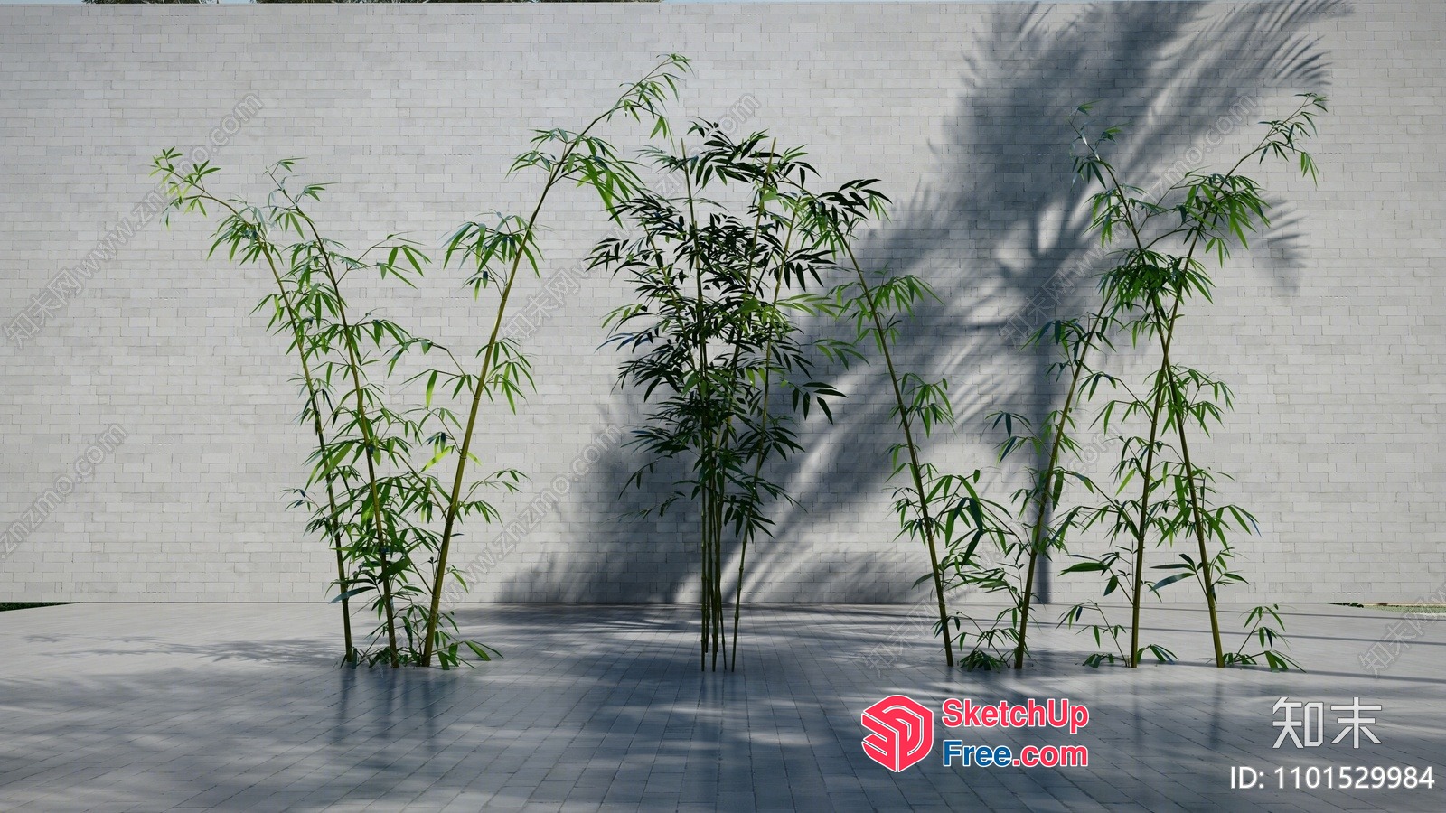 Bamboo Plants In Front Of A White Brick Wall 3D SketchUp File