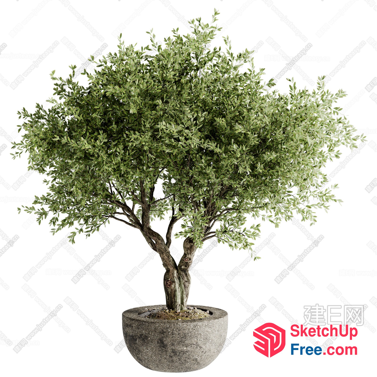 Green Tree In A Gray Planter 3D SketchUp File