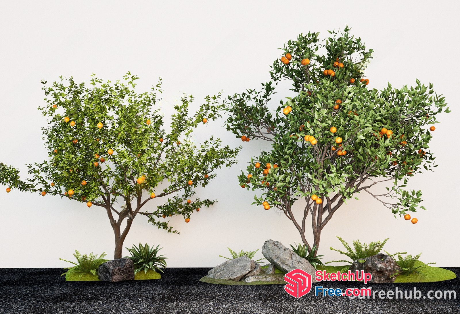 Vibrant Orange Trees In A Lush Garden Setting 3D SketchUp File