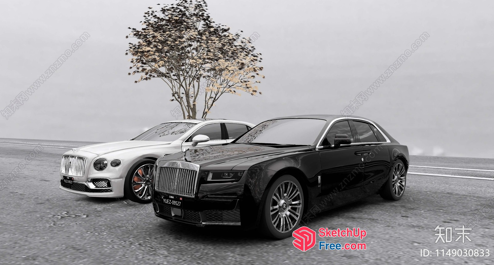 Two Luxurious Cars Parked Near A Tree 3D SketchUp File