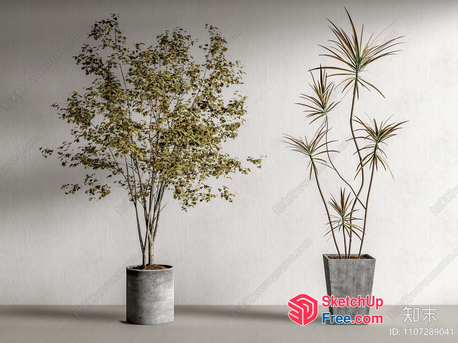 Two Potted Plants In Modern Decorative Pots 3D SketchUp File