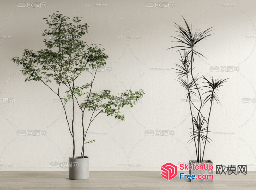 Potted Plants Against Plain White Wall 3D SketchUp File