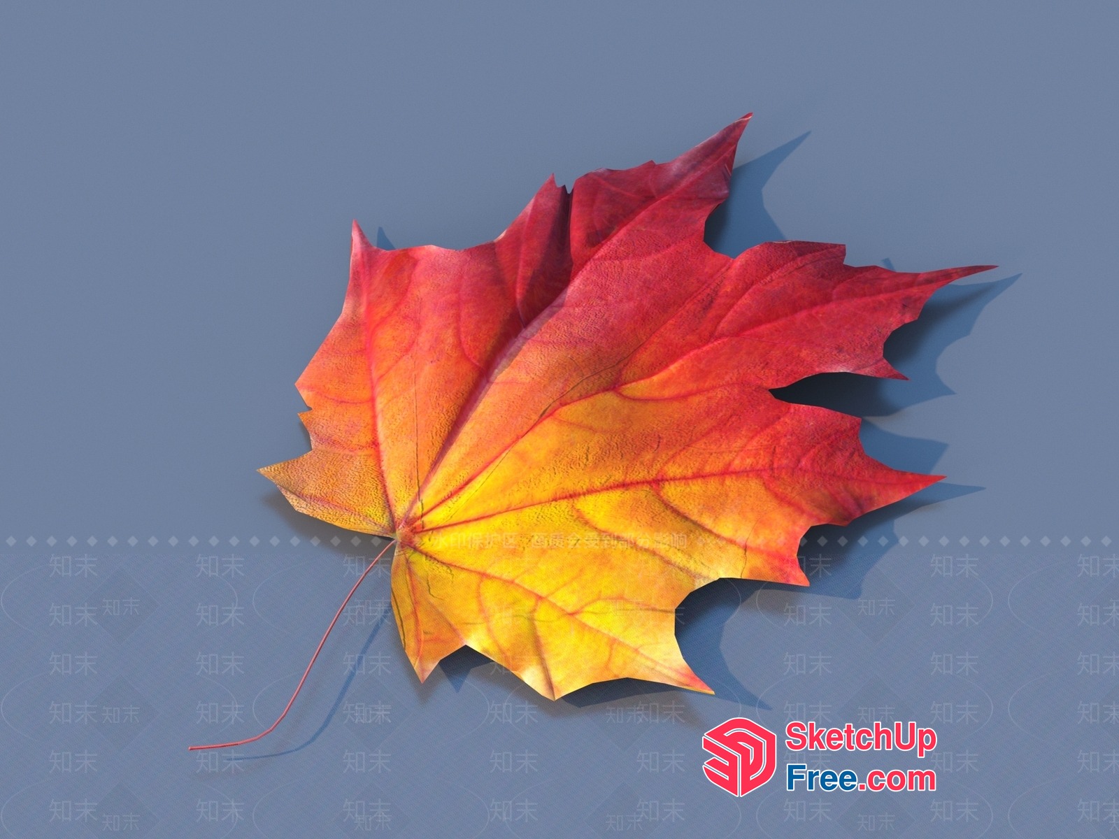 A Maple Leaf On A Gray Background 3D SketchUp File