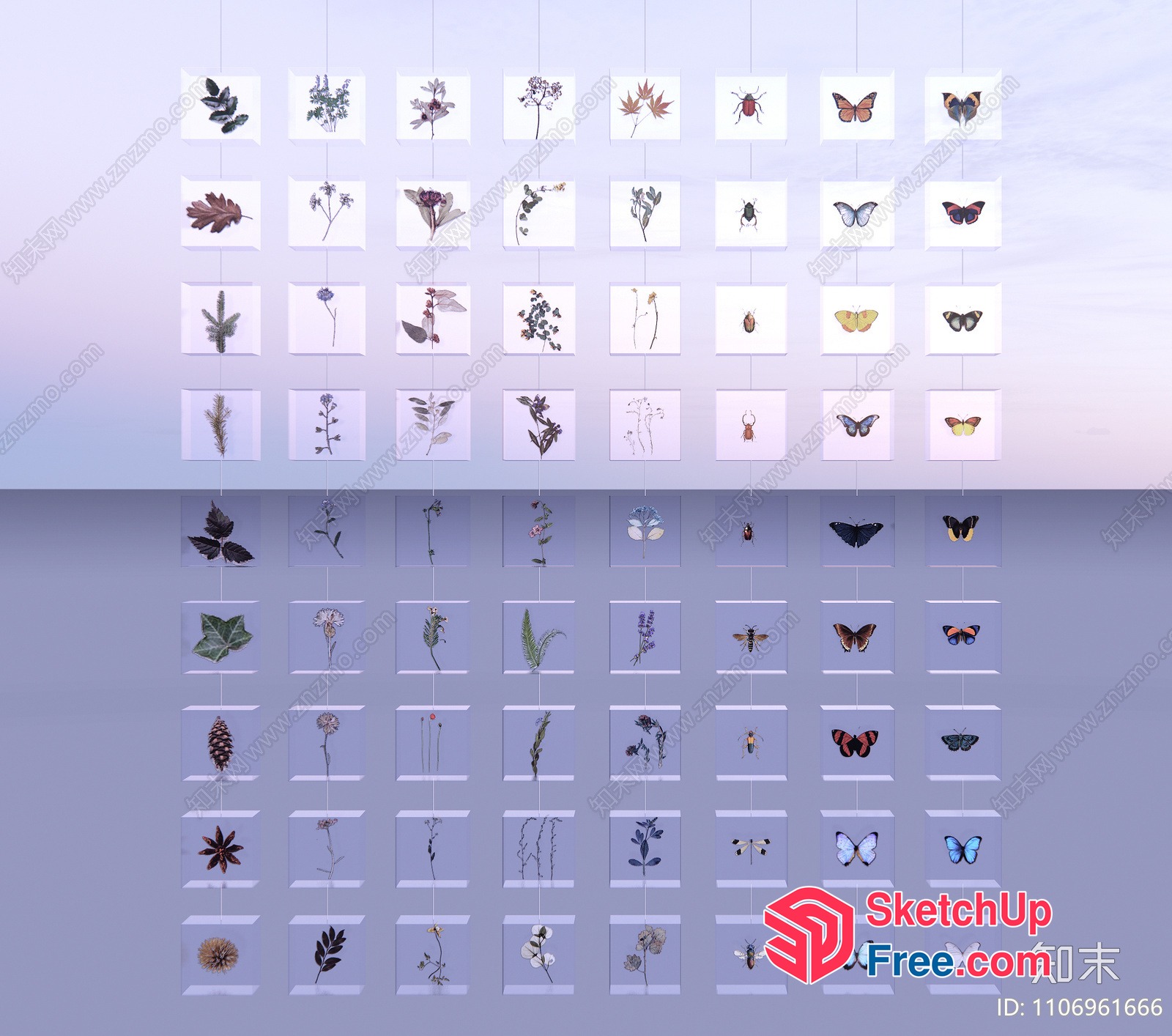Wall Art Gallery Of Nature And Butterflies 3D SketchUp File