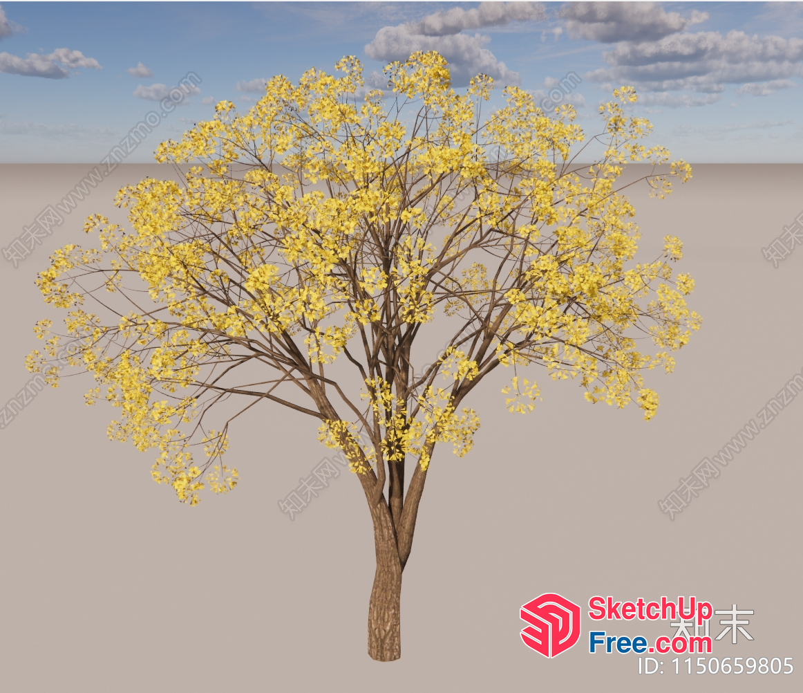 A Tree With Yellow Leaves And Branches 3D SketchUp File