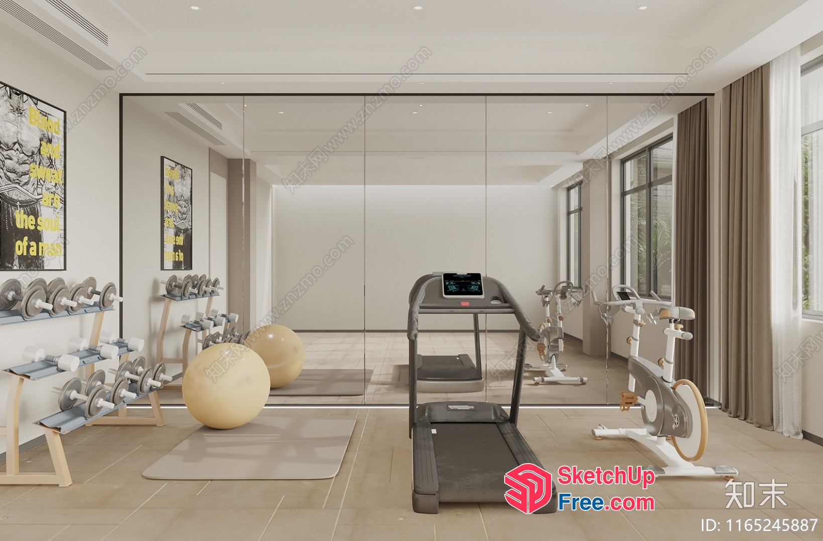 Modern Minimalist Gym Interior With Neutral Color Scheme 3D SketchUp File
