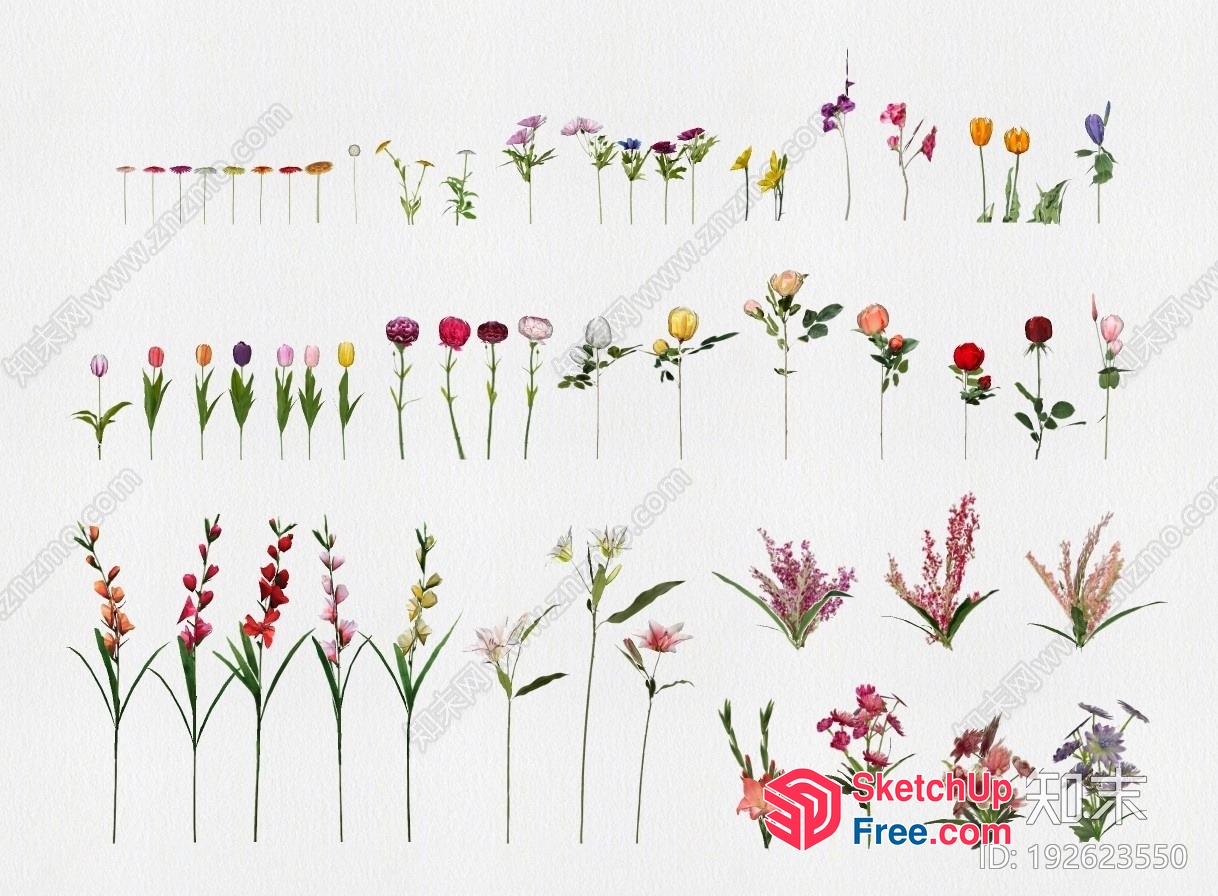 Various Types Of Flowers 3D SketchUp File