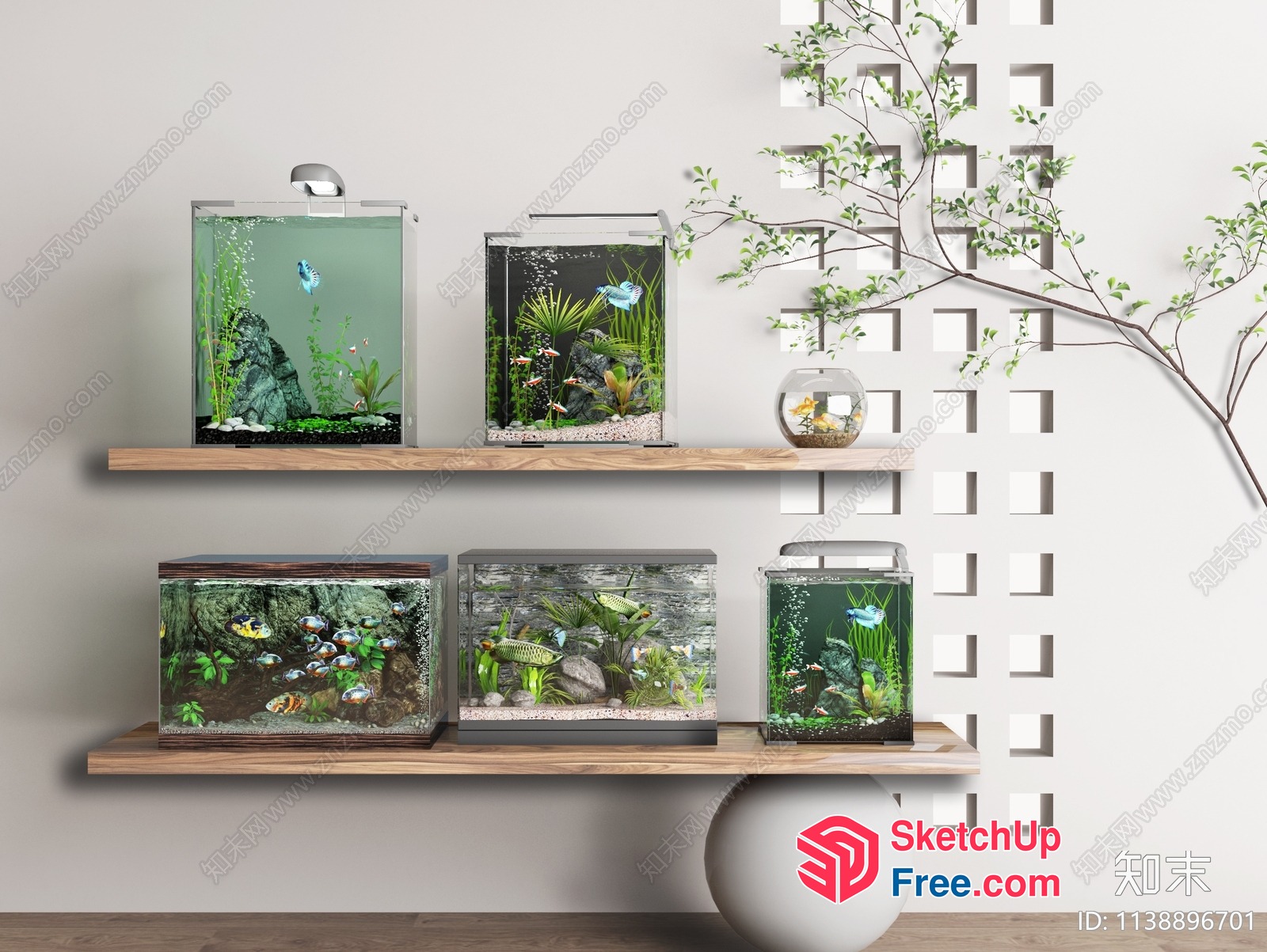Five Aquariums On Wooden Shelves 3D SketchUp File