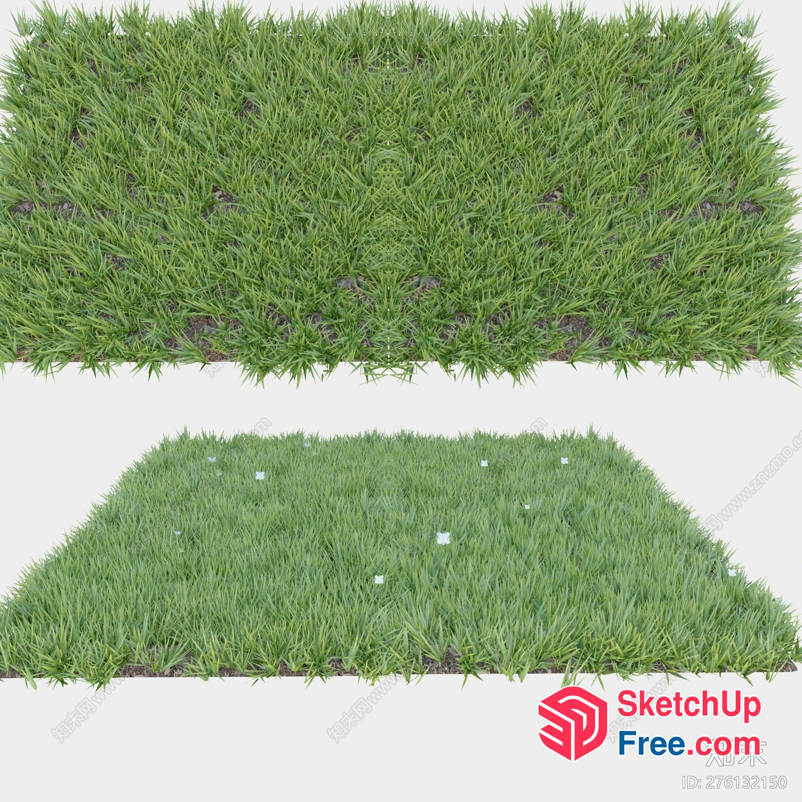 Grass Lawn Exterior Decor 3D SketchUp File