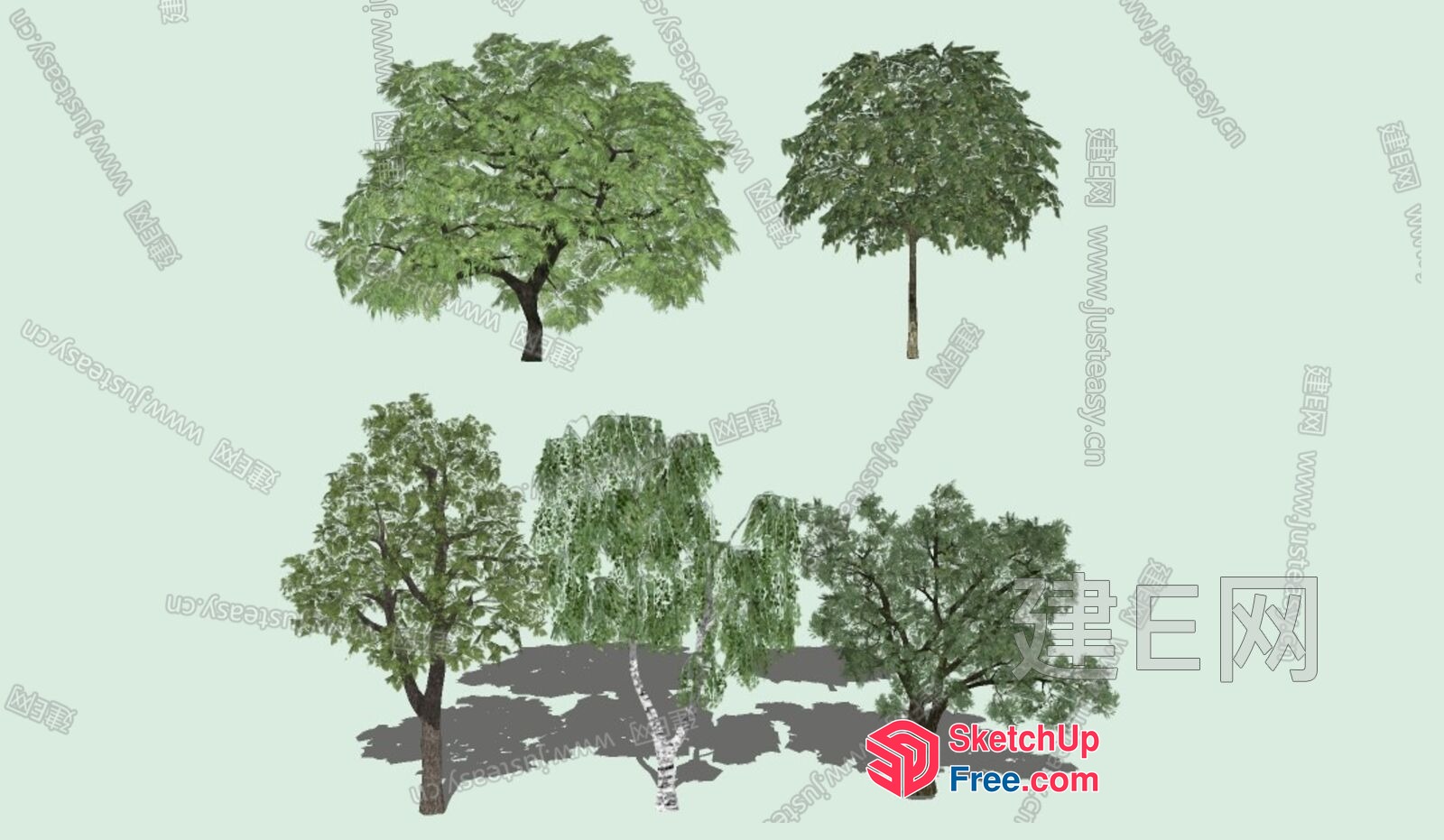 3D Rendered Trees In Various Styles 3D SketchUp File