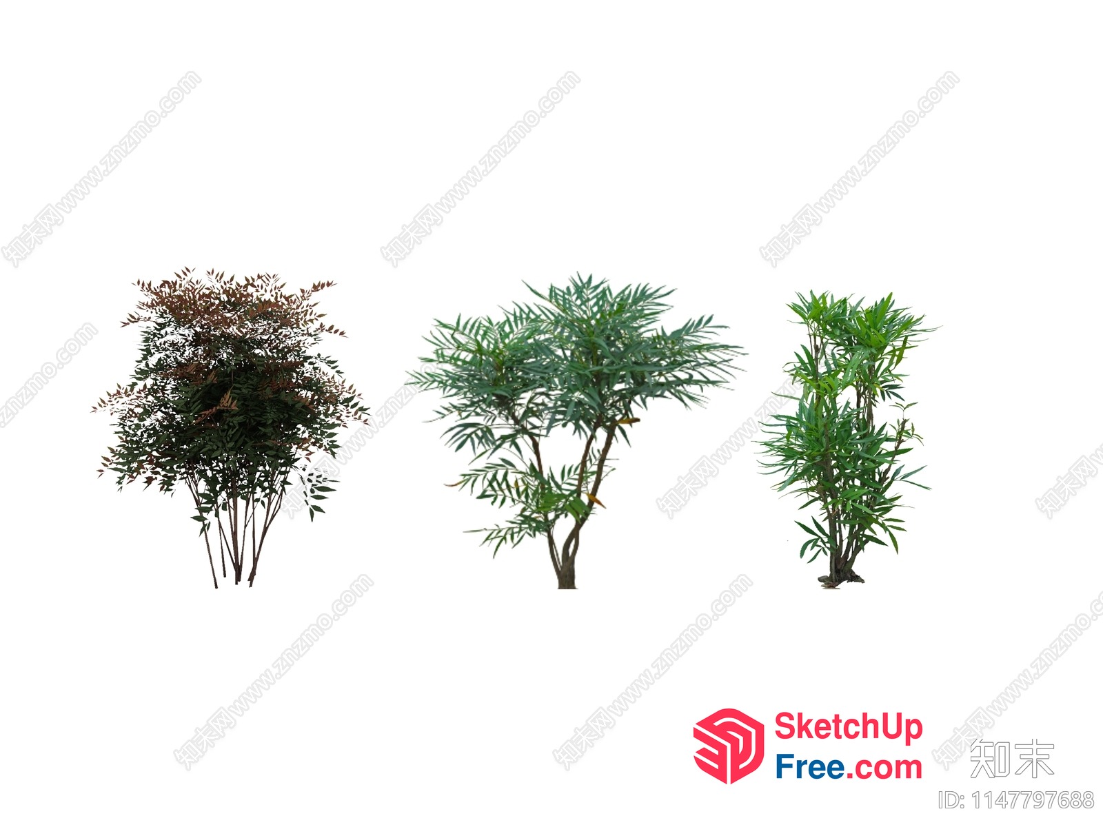 Three Plants In A Row 3D SketchUp File
