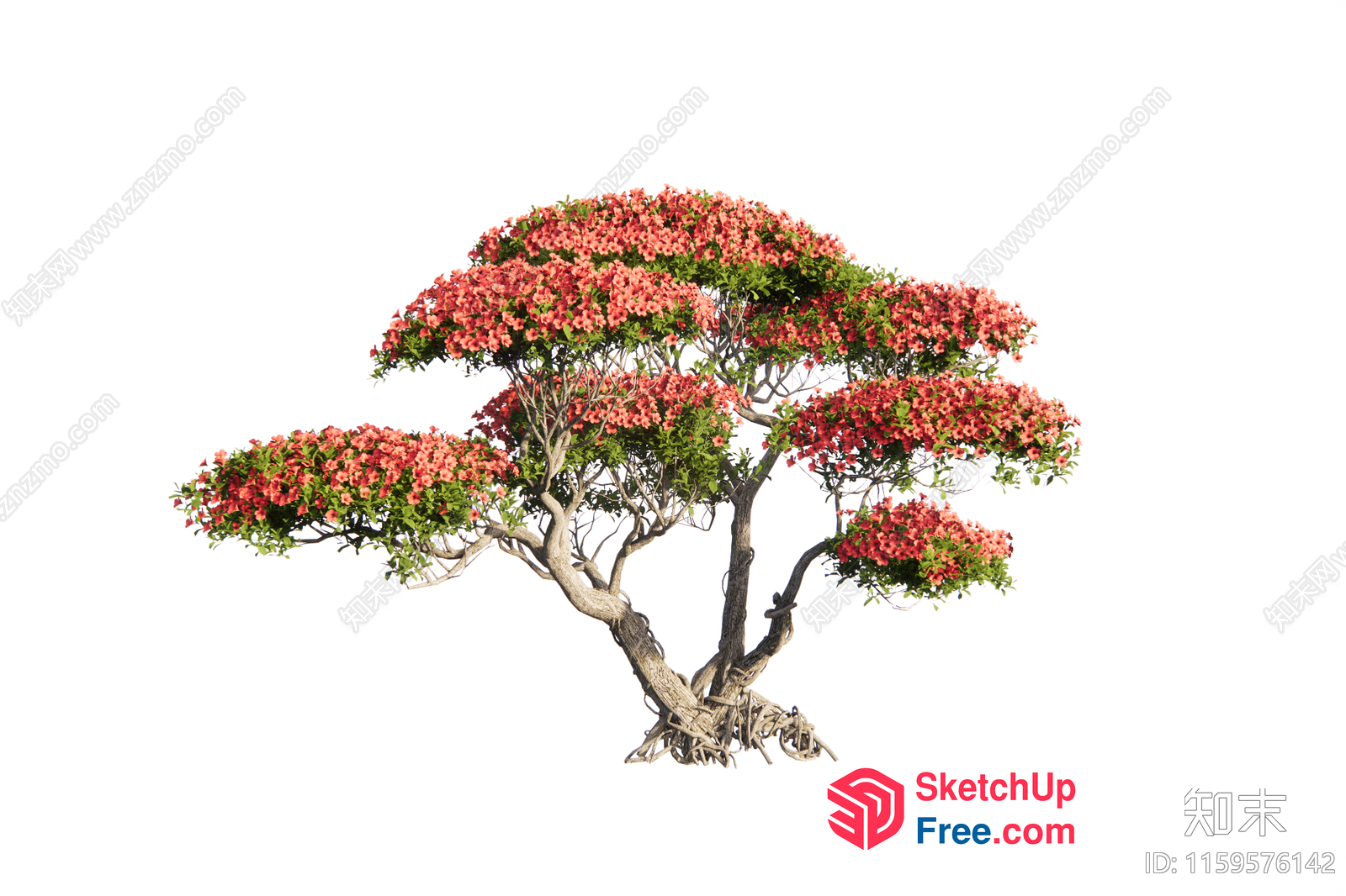 Beautiful Tree With Vibrant Pink Flowers 3D SketchUp File