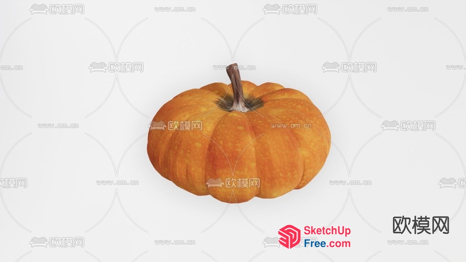 A Large Orange Pumpkin 3D SketchUp File