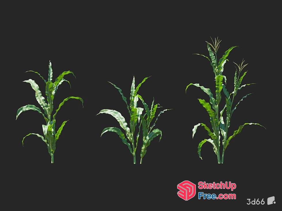 Green Plants In A Row 3D SketchUp File