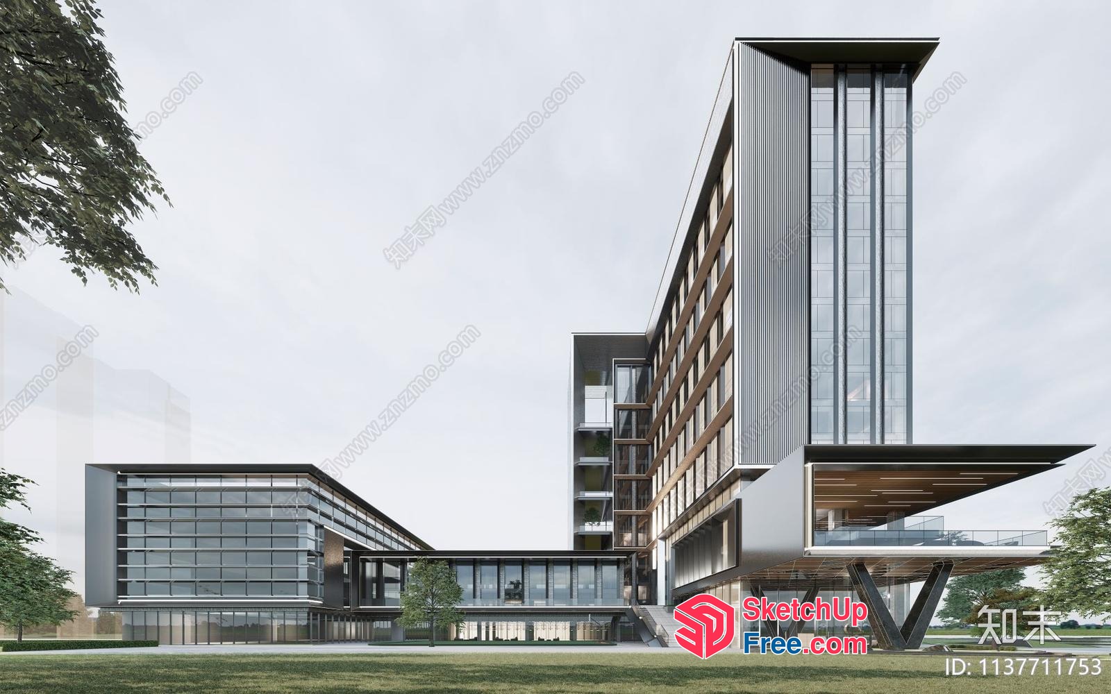 Contemporary Glass Curtain Wall Office Building 3D SketchUp File