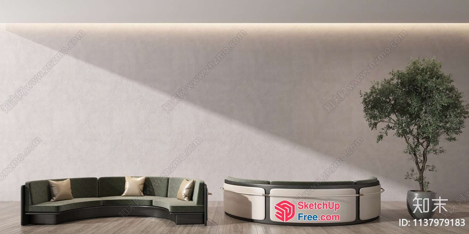 Modern Minimalist Living Room With Curved Sofa And Tree 3D SketchUp File