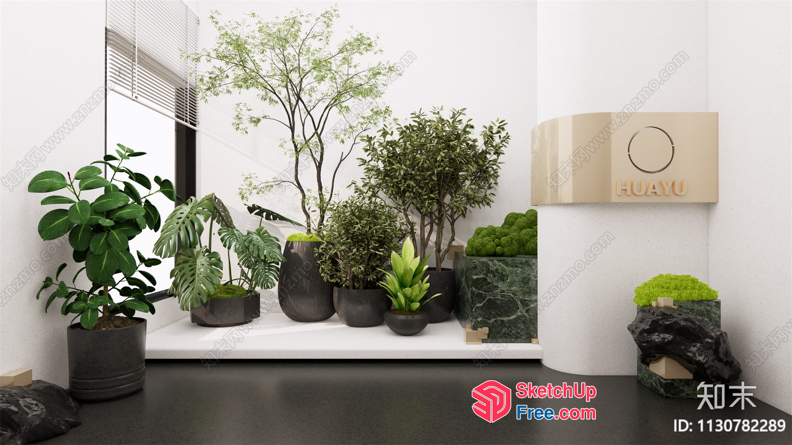 Potted Plants On Display 3D SketchUp File