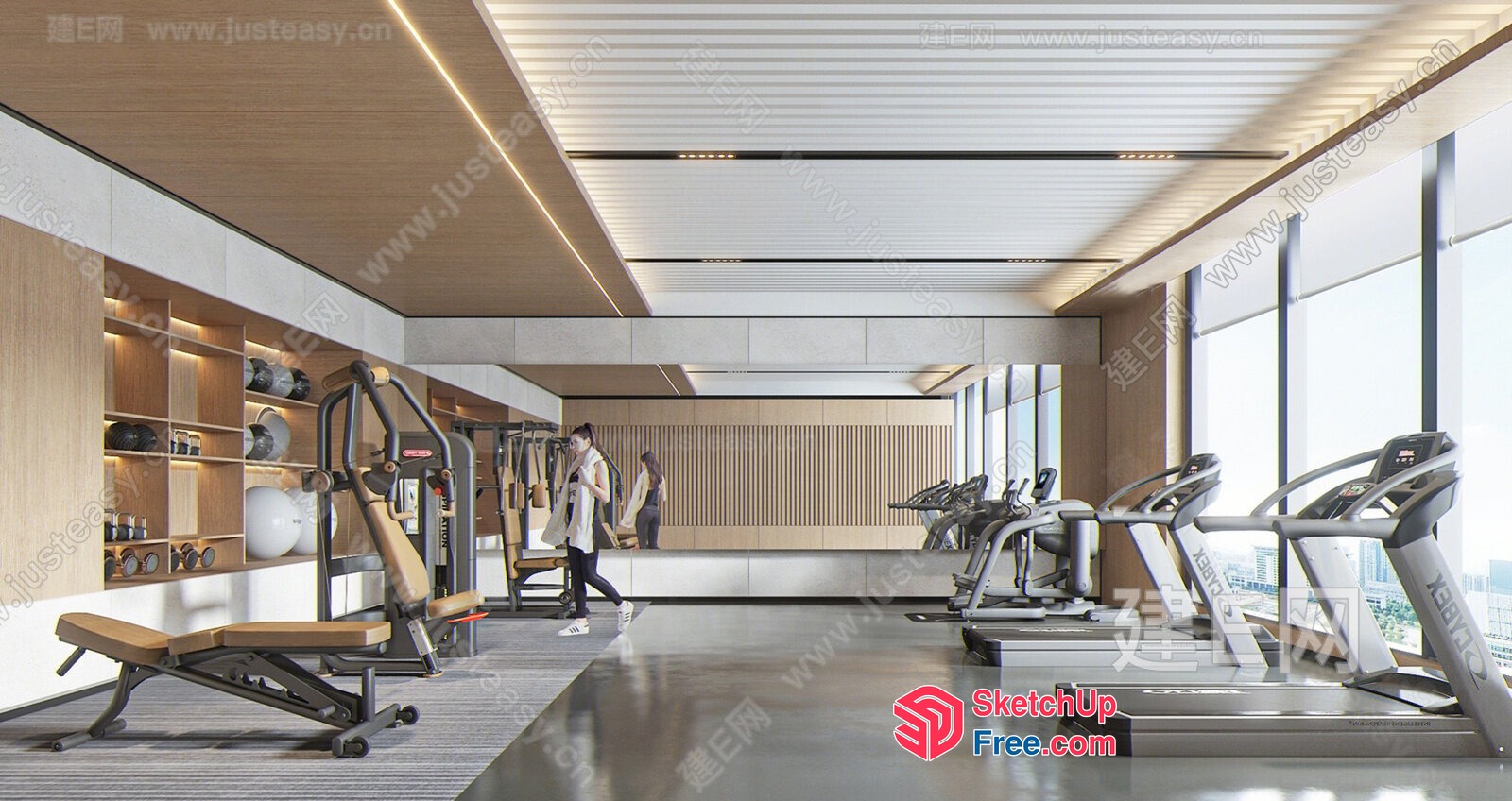Modern Gym Interior With Natural Light And Sleek Furniture 3D SketchUp File