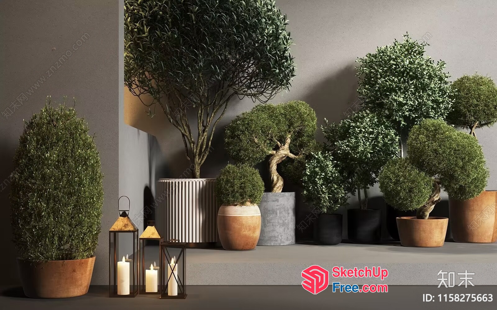 Potted Plants And Lanterns On A Shelf 3D SketchUp File