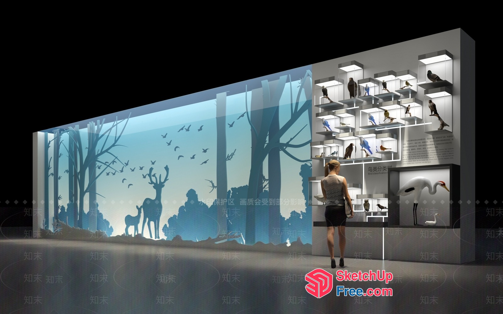 Exquisite Wildlife Display 3D SketchUp File