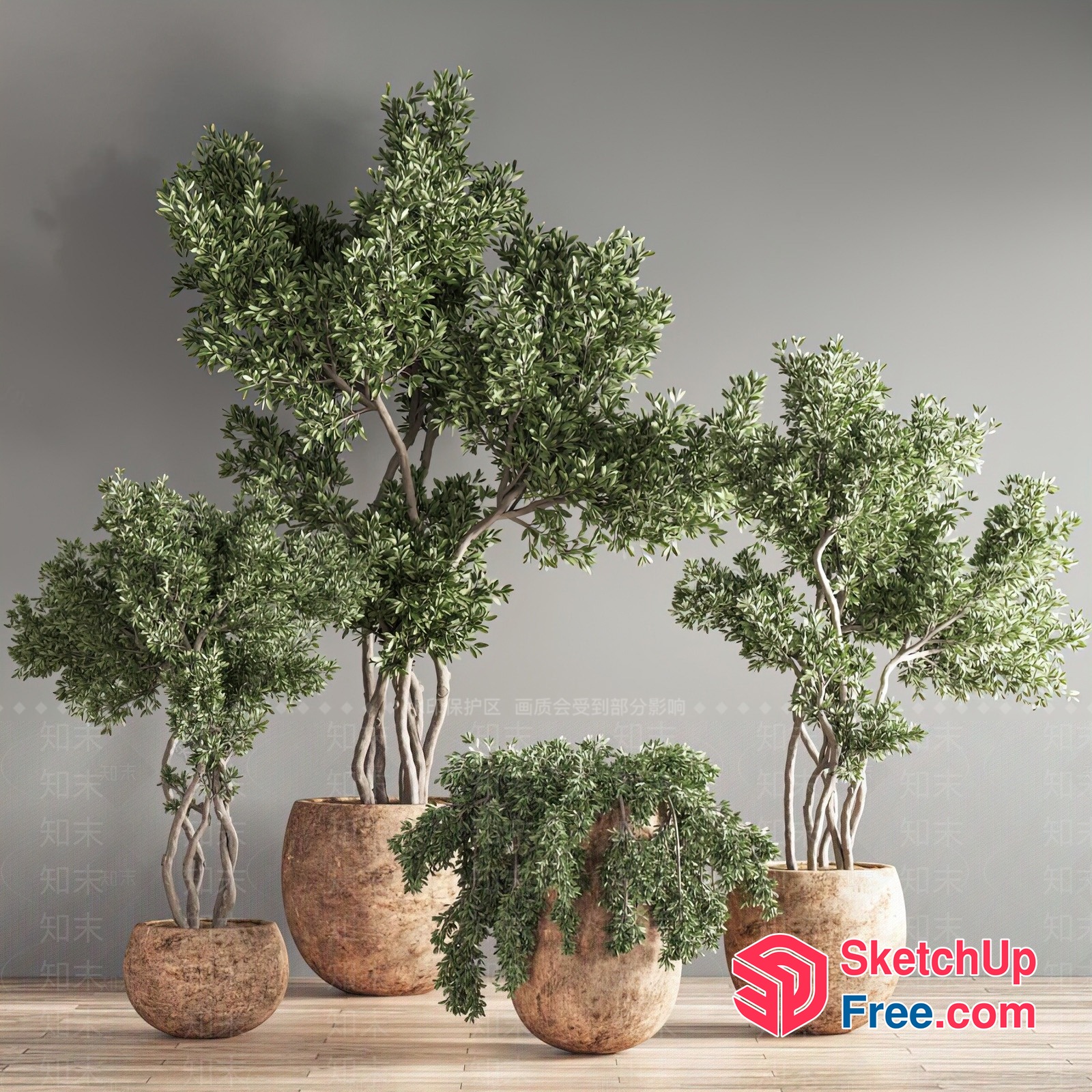 Elegant Potted Plants In Large Ceramic Pots 3D SketchUp File