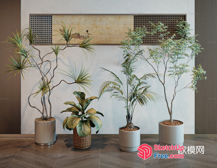 Modern Indoor Plants In Potted Containers 3D SketchUp File