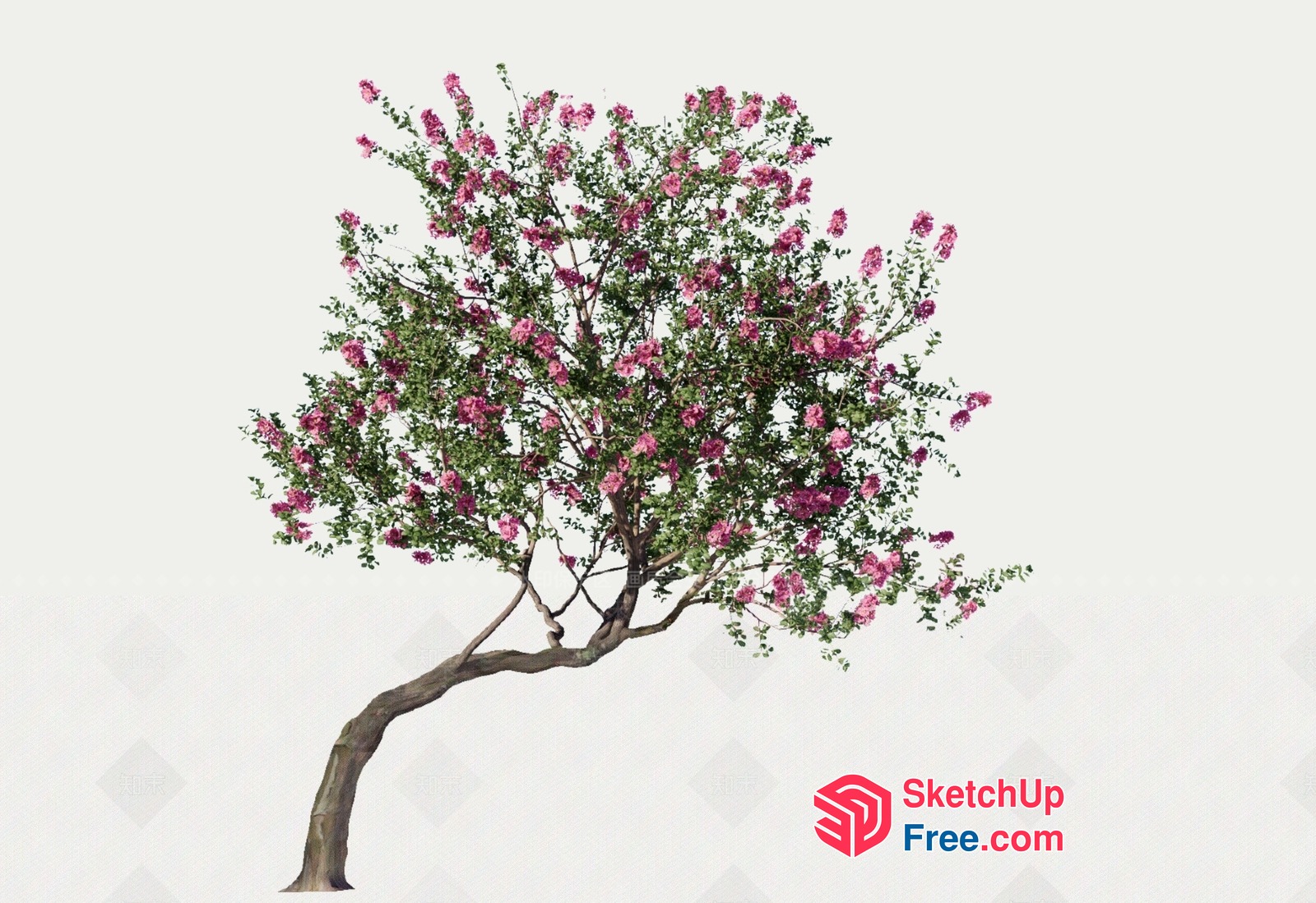 Exquisite Pink Flowering Tree With Elegant Branches 3D SketchUp File