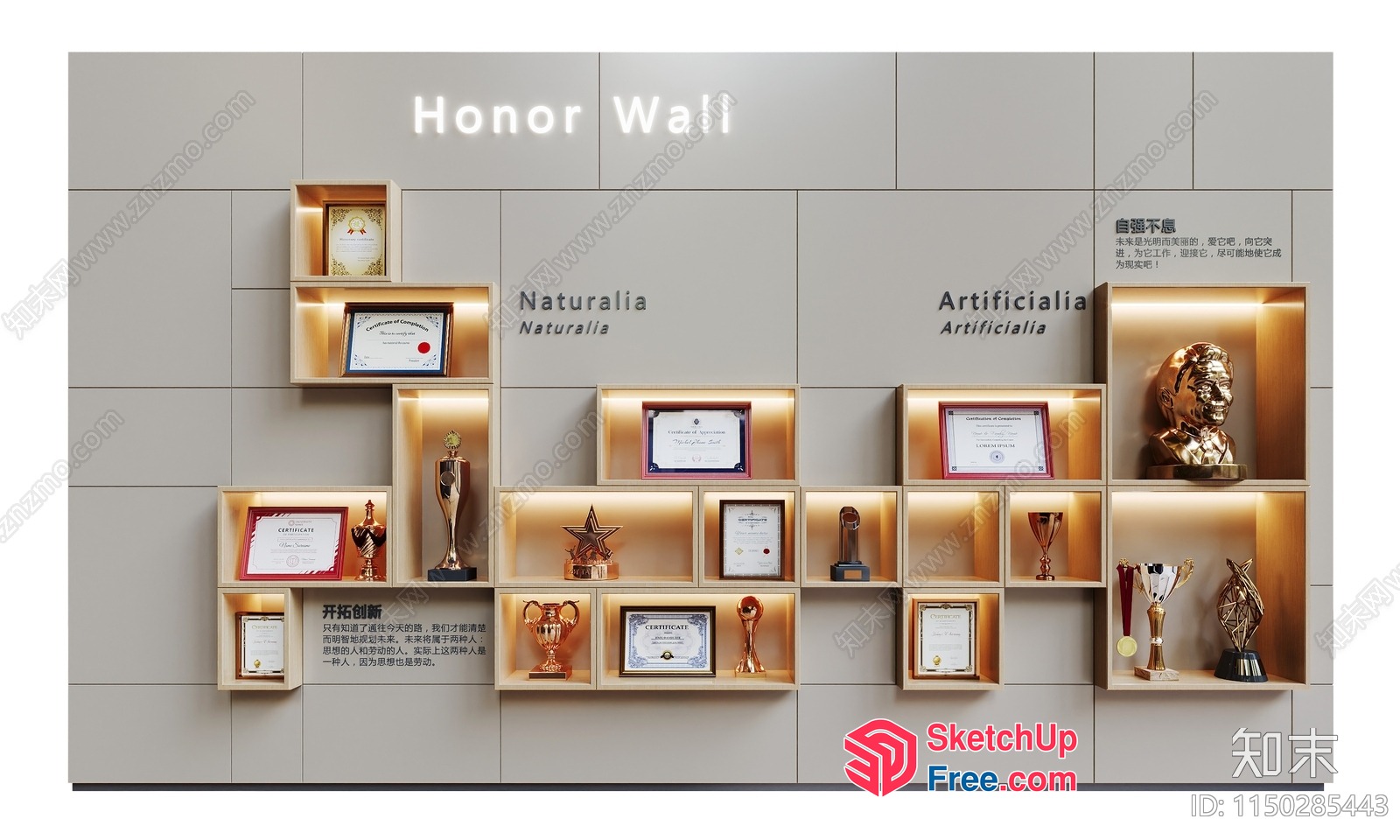 Honor Wall With Decorative Shelving And Awards 3D SketchUp File