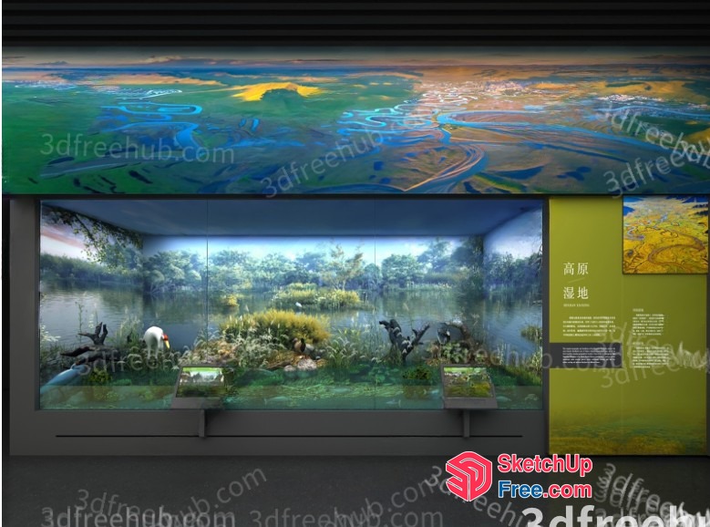 Museum Display Case With Nature Scene 3D SketchUp File