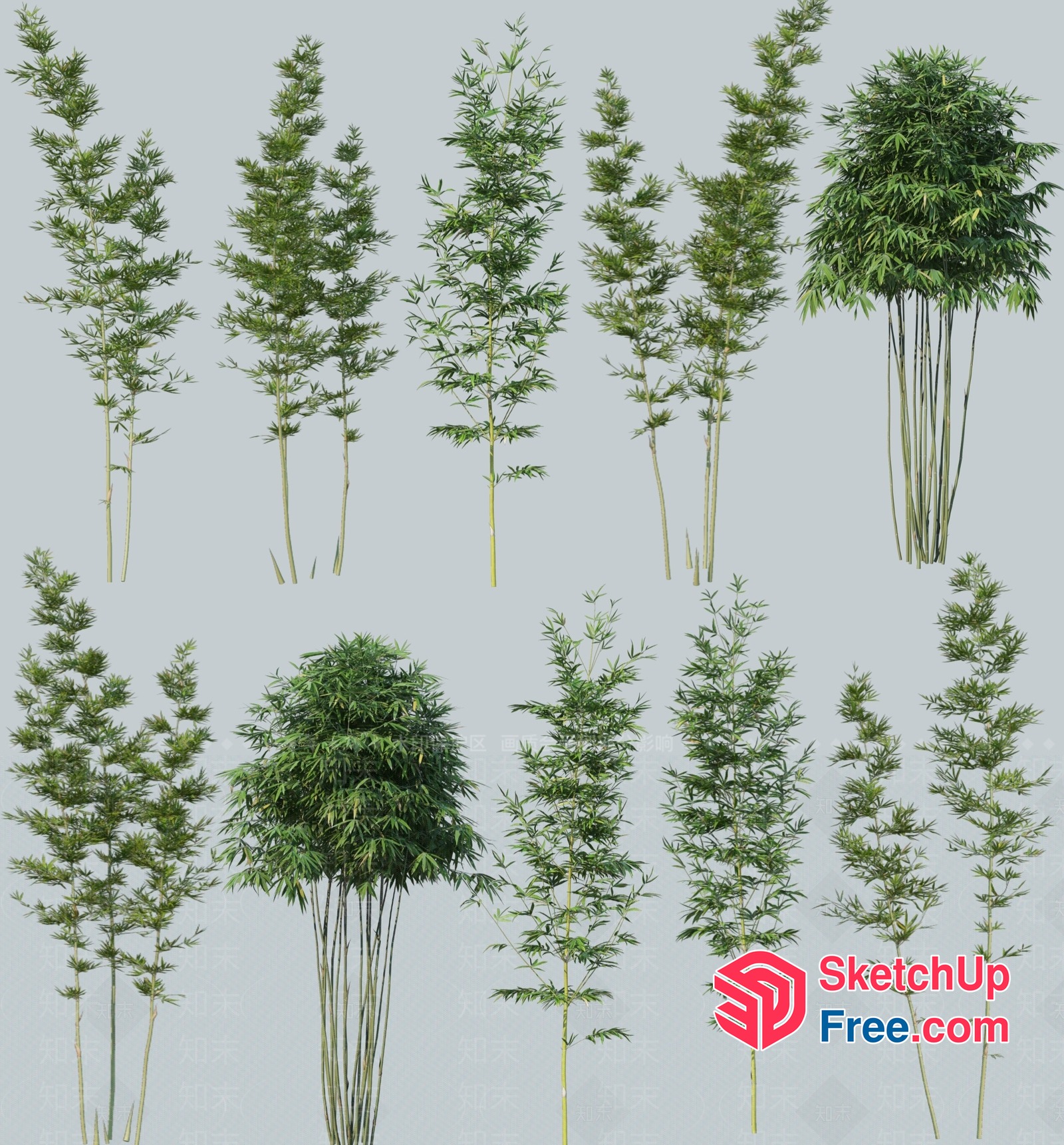 Tall Green Plants In Various Shapes And Sizes 3D SketchUp File