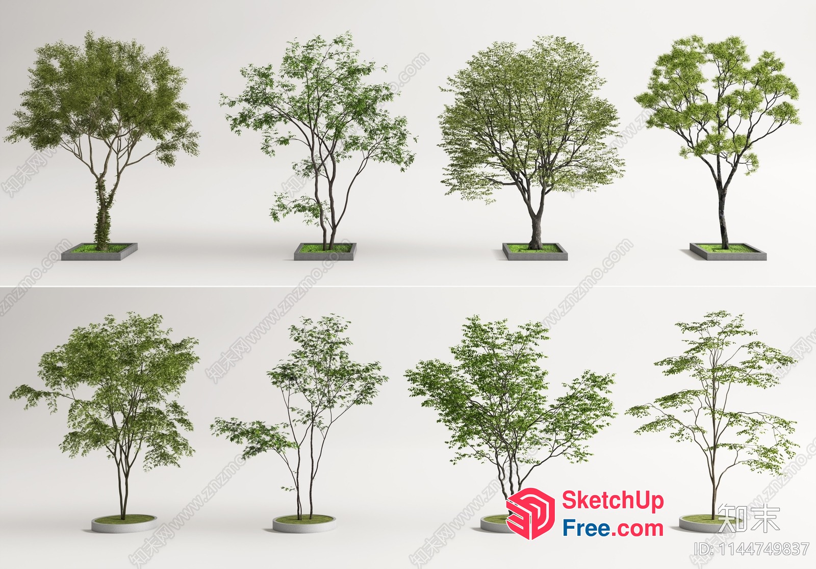 3D Rendered Trees In Various Styles 3D SketchUp File