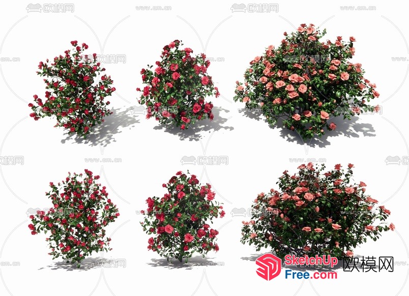 Floral Decorative Bushes 3D SketchUp File