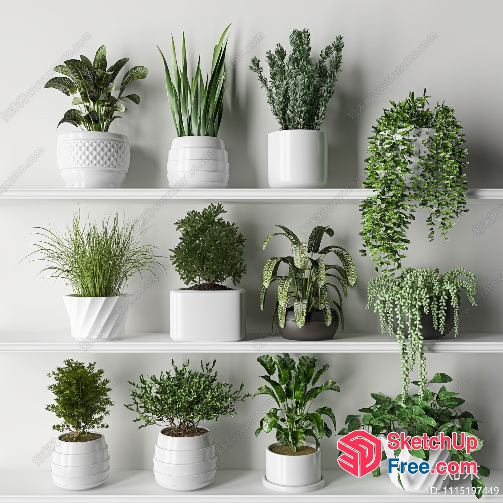 Potted Plants On Shelves 3D SketchUp File